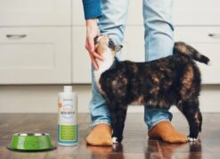 OxyFresh Pet Mondwater Hond En Kat. Helpt Tegen Tandsteen, Plak En Vieze Ademgeurtjes 7 OxyFresh Pet Mondwater Hond En Kat. Helpt Tegen Tandsteen, Plak En Vieze Ademgeurtjes -Huisdierbenodigdheden 1200x864