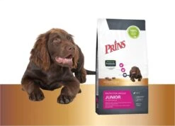 Prins Protection Croque Junior - Performance - Hondenvoer - 10 Kg -Huisdierbenodigdheden 1200x867 3