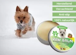 100% Natuurlijke Potenbalsem - Paw Balm - Voor Honden Tot 15 Kg - Beschermt Voetzooltjes - Tegen Kloven, Wondjes, Ontstekingen 6 100% Natuurlijke Potenbalsem - Paw Balm - Voor Honden Tot 15 Kg - Beschermt Voetzooltjes - Tegen Kloven, Wondjes, Ontstekingen -Huisdierbenodigdheden 1200x872 10