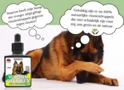 100% Natuurlijke Vlooiendruppels - Voor Grotere Honden - Van 30-40 Kg - Vlooien - Made In Holland - Zonder Schadelijke Pesticiden - Vachtdruppels -Huisdierbenodigdheden 1200x872 12