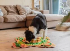 SNUFFIES® Snuffelmat Belle 60x50cm – Snuffelmat – Snuffelmatten - Honden Speelgoed - Honden Speelgoed Intelligentie - Snuffelmat Hond - Snuffelmatten – Hersenwerk – Honden Speeltjes – Puppy - Puppy Speelgoed - Honden Denkspelletjes -Huisdierbenodigdheden 1200x872 13