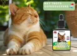 Natuurlijke Vlooiendruppels Voor Katten - Vanaf 4 Kg - 100% Natuurlijk - Vlooien - Zonder Giftige Pesticiden - 30 Ml - Speciale Formule Voor Katten - Vachtdruppels - Made In Holland -Huisdierbenodigdheden 1200x872 19