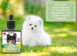 100% Natuurlijke Vlooiendruppels - Vachtdruppels - Voor Kleine Honden Tot 10 Kg - Hondendruppels - Vlooien -Huisdierbenodigdheden 1200x872 8