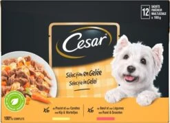 Cesar Selectie In Gelei Maaltijdzakjes Honden Natvoer - Vlees En Groenten In Gelei - 48 X 100g -Huisdierbenodigdheden 1200x874 2