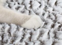 Merkloos Zelfverwarmende Dierendeken Zonder Stroom Thermo Deken Hond Kat Inclusief Adreslabel 70 X 47 Cm 14 Merkloos Zelfverwarmende Dierendeken Zonder Stroom Thermo Deken Hond Kat Inclusief Adreslabel 70 X 47 Cm -Huisdierbenodigdheden 1200x878 3