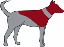 Trixie Opblaasbare Beschermkraag S - Dierenbeschermkraag -Huisdierbenodigdheden 1200x883 5