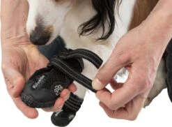 Trixie Schoentjes Walker Active - Hondenschoenen - Zwart - XL -Huisdierbenodigdheden 1200x884 9