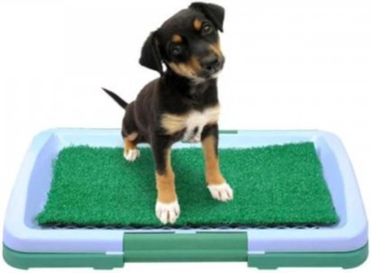 Hondentoilet Kunstgras - 3 Laags - 46 X 33 X 6cm - Puppy Pads - Zindelijkheidstraining Hond - Training Pads Puppy - Hondenmat 1 Hondentoilet Kunstgras - 3 Laags - 46 X 33 X 6cm - Puppy Pads - Zindelijkheidstraining Hond - Training Pads Puppy - Hondenmat