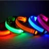 LED Hondenhalsband Super Bright Safety Pet Collar Verhoogde Zichtbaarheid - Zwart