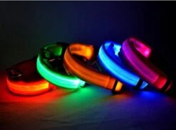 LED Hondenhalsband Super Bright Safety Pet Collar Verhoogde Zichtbaarheid - Zwart