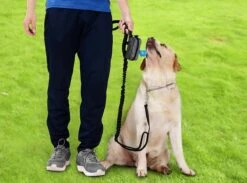 Hondenpoepzakjes Dispenser - Hondenzakjes Honden Poepzakjes Houder -Zwart -Huisdierbenodigdheden 1200x890 9