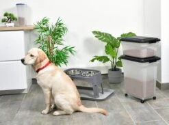 Iris Ohyama Air Tight Food Container Set Van 2 - ATS-C - Kunststof - 20 En 45 Liter - Transparant/Grijs - Met Schepje 9 Iris Ohyama Air Tight Food Container Set Van 2 - ATS-C - Kunststof - 20 En 45 Liter - Transparant/Grijs - Met Schepje -Huisdierbenodigdheden 1200x891 4