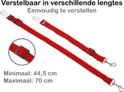 Hondenriem Autogordel Hondentuig Hondengordel Verstelbaar - Rood -Huisdierbenodigdheden 1200x893 1
