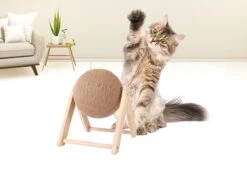 Janse Katten Krab Bal - Katten Speelgoed - Krabmeubel - Kattenkrabpaal - Krabplank - Krabbal - Kattenspeeltje - Krabbol - Inclusief Kattenkruid -Huisdierbenodigdheden 1200x898 10