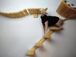 Kattentrap Hout - Linksonder Naar Rechtsboven - Handgemaakte Kattenladder - Katten Klimmuur Klimwand -Huisdierbenodigdheden 1200x898 12