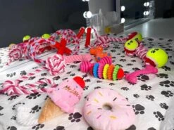 Honden Speelgoed - Puppy Speelgoed - 11 Stuks - Roze - 1 Speeltje Gratis - Honden Knuffel - Trektouw - Honden Speeltjes -Huisdierbenodigdheden 1200x898 2