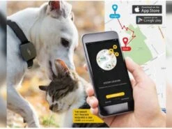 Mr. Safe Smart Pet Tracker - GPS Tracker Voor Huisdieren (SPT-100) -Huisdierbenodigdheden 1200x898 6
