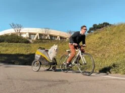 InnoPet Hercules 2.0 - Hondenfietskar – Incl. Trekstang En Regenhoes - 100x78x96cm -Huisdierbenodigdheden 1200x899 10