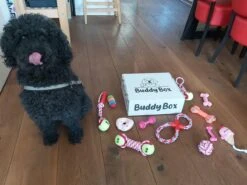 Honden Speelgoed - Puppy Speelgoed - 11 Stuks - Roze - 1 Speeltje Gratis - Honden Knuffel - Trektouw - Honden Speeltjes -Huisdierbenodigdheden 1200x899 20