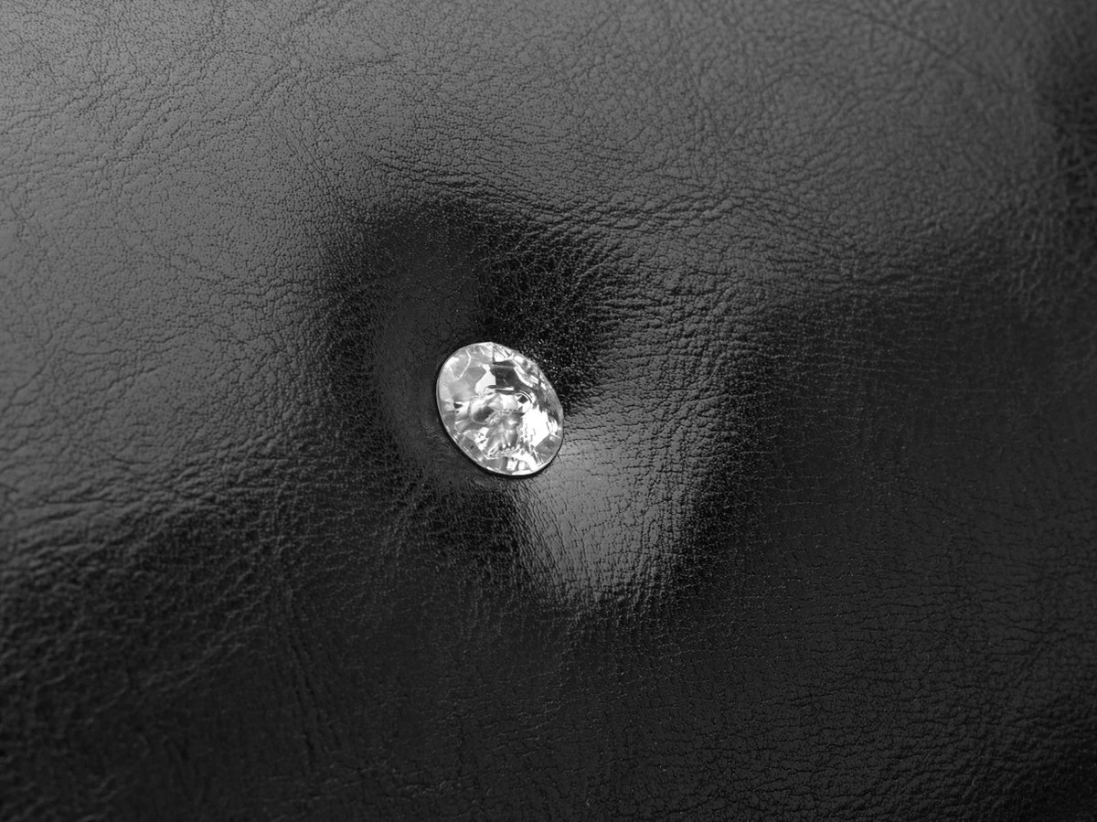 Roefie - Luxe Hondensofa CHIQUE - Zwart - Eco-leer 2 Roefie - Luxe Hondensofa CHIQUE - Zwart - Eco-leer - Afbeelding 2