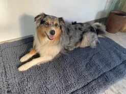 HuggleHounds - Wasbare Fleece Hondenmat Van Lamswol Voor Benches Of Als Los Kussen - In Naturel Of Grijs - S/M/L/XL/XXL - Grijs - S 19 HuggleHounds - Wasbare Fleece Hondenmat Van Lamswol Voor Benches Of Als Los Kussen - In Naturel Of Grijs - S/M/L/XL/XXL - Grijs - S -Huisdierbenodigdheden 1200x899 35