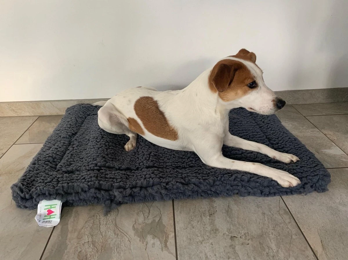 HuggleHounds - Wasbare Fleece Hondenmat Van Lamswol Voor Benches Of Als Los Kussen - In Naturel Of Grijs - S/M/L/XL/XXL - Grijs - S 13 HuggleHounds - Wasbare Fleece Hondenmat Van Lamswol Voor Benches Of Als Los Kussen - In Naturel Of Grijs - S/M/L/XL/XXL - Grijs - S - Afbeelding 13