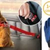 Hondengordel Met Hondenborstel - Vacht Verzorging Massage Borstel - Honden Katten Huisdieren - Verzorgingsborstel Handschoen - Gordel Riem Autogordel Seat Belt - Voordeelpack