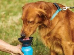 Honden Waterfles 500ML - Bidon - Honden Drinkfles - Waterfles Hond - Blauw -Huisdierbenodigdheden 1200x900 20