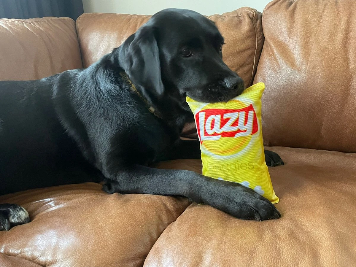 Merkloos Lazy Doggies Krakend Hondenspeelgoed 2 Merkloos Lazy Doggies Krakend Hondenspeelgoed - Afbeelding 2