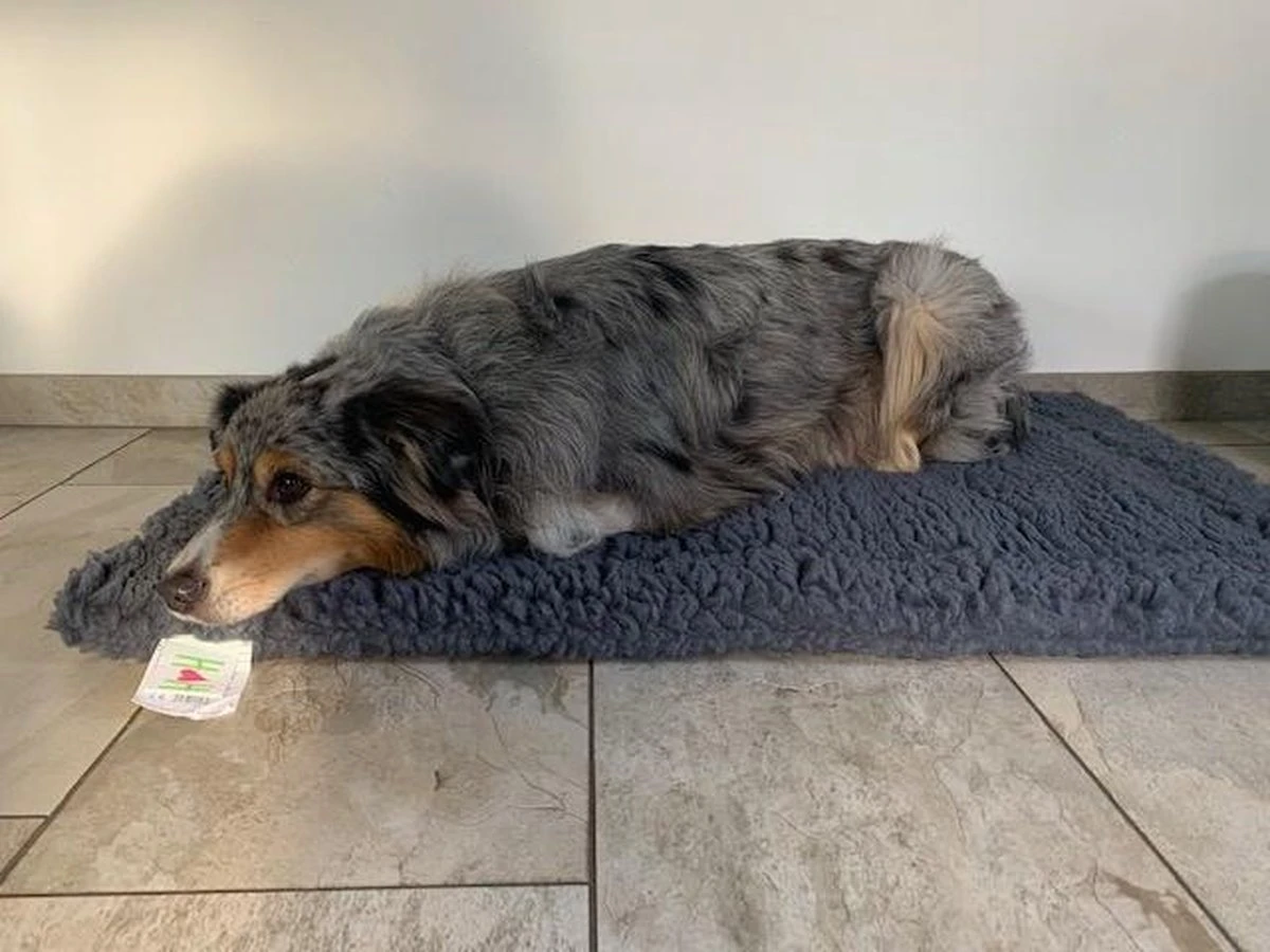 HuggleHounds - Wasbare Fleece Hondenmat Van Lamswol Voor Benches Of Als Los Kussen - In Naturel Of Grijs - S/M/L/XL/XXL - Grijs - S 15 HuggleHounds - Wasbare Fleece Hondenmat Van Lamswol Voor Benches Of Als Los Kussen - In Naturel Of Grijs - S/M/L/XL/XXL - Grijs - S - Afbeelding 15