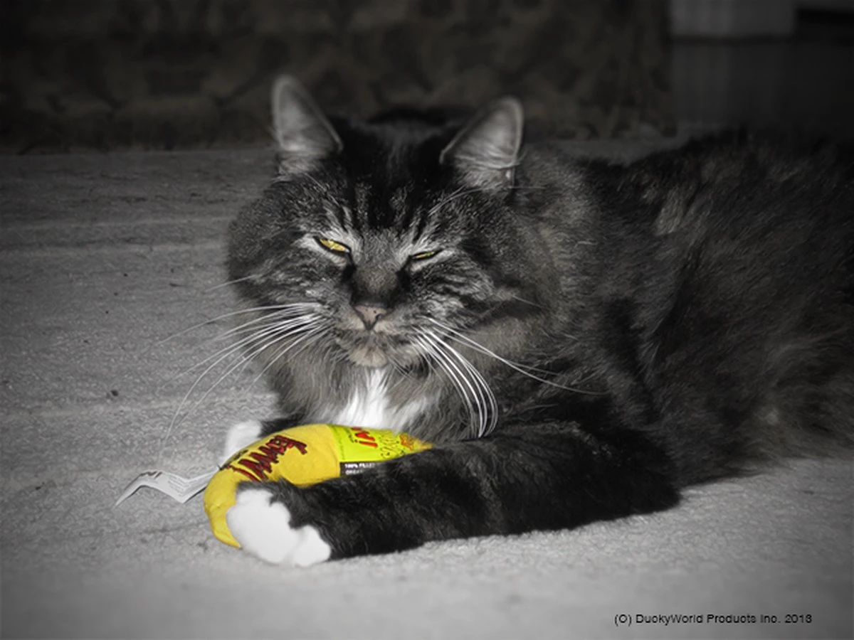 Yeowww! Chicata Banana - Speeltje Voor Katten Met Kattenkruid - De Meest Krachtige Catnip Ter Wereld – Onweerstaanbaar – Katoen – 17.7 Cm - Geel 6 Yeowww! Chicata Banana - Speeltje Voor Katten Met Kattenkruid - De Meest Krachtige Catnip Ter Wereld – Onweerstaanbaar – Katoen – 17.7 Cm - Geel - Afbeelding 6