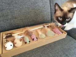 Make Life Beautiful® - Kattenspeeltjes Set - 7-delig - Kattenspeelgoed - Kattenhengel - Speelmuisjes - Kattenspeelgoed Set -Huisdierbenodigdheden 1200x900 60