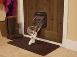 PetSafe Staywell Microchip Kattenluik - Bruin -Huisdierbenodigdheden 1200x900 62