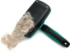 ElegaPet Hondenborstel Groen - Hondenhaar Verwijderen - Kat En Hondenkam - Slickerborstel Hond En Kat - Groomer - Ondervacht Kam Hond - Borstel Hond - Hondenborstel Langharig En Kortharig - Slickerborstel - Anti Klit/Knopen/Huidschilfers -Huisdierbenodigdheden 1200x902 1