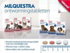 Beaphar Milquestra Ontworming Tabletten Hond 5-50kg 2 Tabletten -Huisdierbenodigdheden 1200x904 1