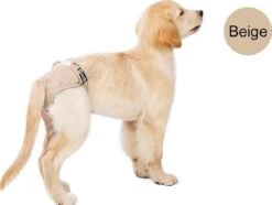 Loopsheidbroekje Hond - Beige - Maat XS - Hondenbroekje - Hondenluier - Loopsheid Teef - Wasbaar -Huisdierbenodigdheden 1200x904 17