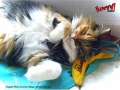 Yeowww! Chicata Banana - Speeltje Voor Katten Met Kattenkruid - De Meest Krachtige Catnip Ter Wereld – Onweerstaanbaar – Katoen – 17.7 Cm - Geel 10 Yeowww! Chicata Banana - Speeltje Voor Katten Met Kattenkruid - De Meest Krachtige Catnip Ter Wereld – Onweerstaanbaar – Katoen – 17.7 Cm - Geel -Huisdierbenodigdheden 1200x904 27