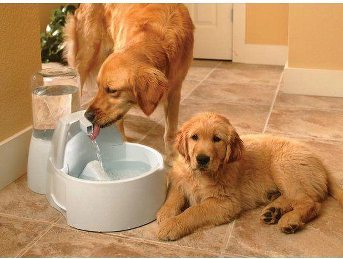 PetSafe Drinkwell® Vervangende Koolstoffilters - Voor De Drinkwell Mini En Drinkwell Original - 3 Stuks 13 PetSafe Drinkwell® Vervangende Koolstoffilters - Voor De Drinkwell Mini En Drinkwell Original - 3 Stuks - Afbeelding 13