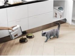 Curver Voercontainer Kat - 6 L -Huisdierbenodigdheden 1200x910 5