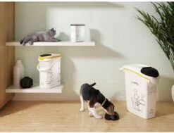 Curver Voedselcontainer Kat - 10 L -Huisdierbenodigdheden 1200x917 11