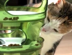 Cat-It Senses 2.0 Food Tree - Wit/Groen - Voerbak - Ø 35 Cm -Huisdierbenodigdheden 1200x923 8