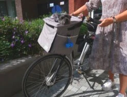 Petspace - Huisdieren Fietstas - Honden Fietsmand - Stuurtas Fiets - Fietsmand Voor Honden - Hondenfietsmand Voorop - Grijs -Huisdierbenodigdheden 1200x925