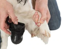 Trixie Walker Active Hondenschoen - Maat S - 2 St. -Huisdierbenodigdheden 1200x926 18