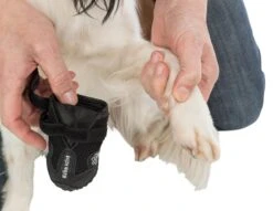 Trixie Walker Active Hondenschoen - Zwart - Maat M/L -Huisdierbenodigdheden 1200x926 19