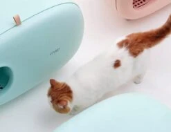 MakeSure Kattenbak Met Lade - Groen - 60 X 38 X 45 Cm - Design -Huisdierbenodigdheden 1200x927 7