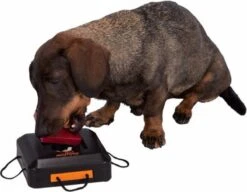 Trixie Dogtoy Dog Activity Strategy Game Gamble Box - Piepend Speelgoed - 15cm X 15cm X 9cm - Zwart/rood/oranje -Huisdierbenodigdheden 1200x935 6