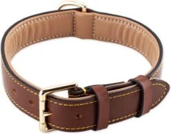 Brute Strength - Luxe Leren Halsband Hond - Bruin - L - (46 - 53 Cm) X 3,5cm -Huisdierbenodigdheden 1200x940 5