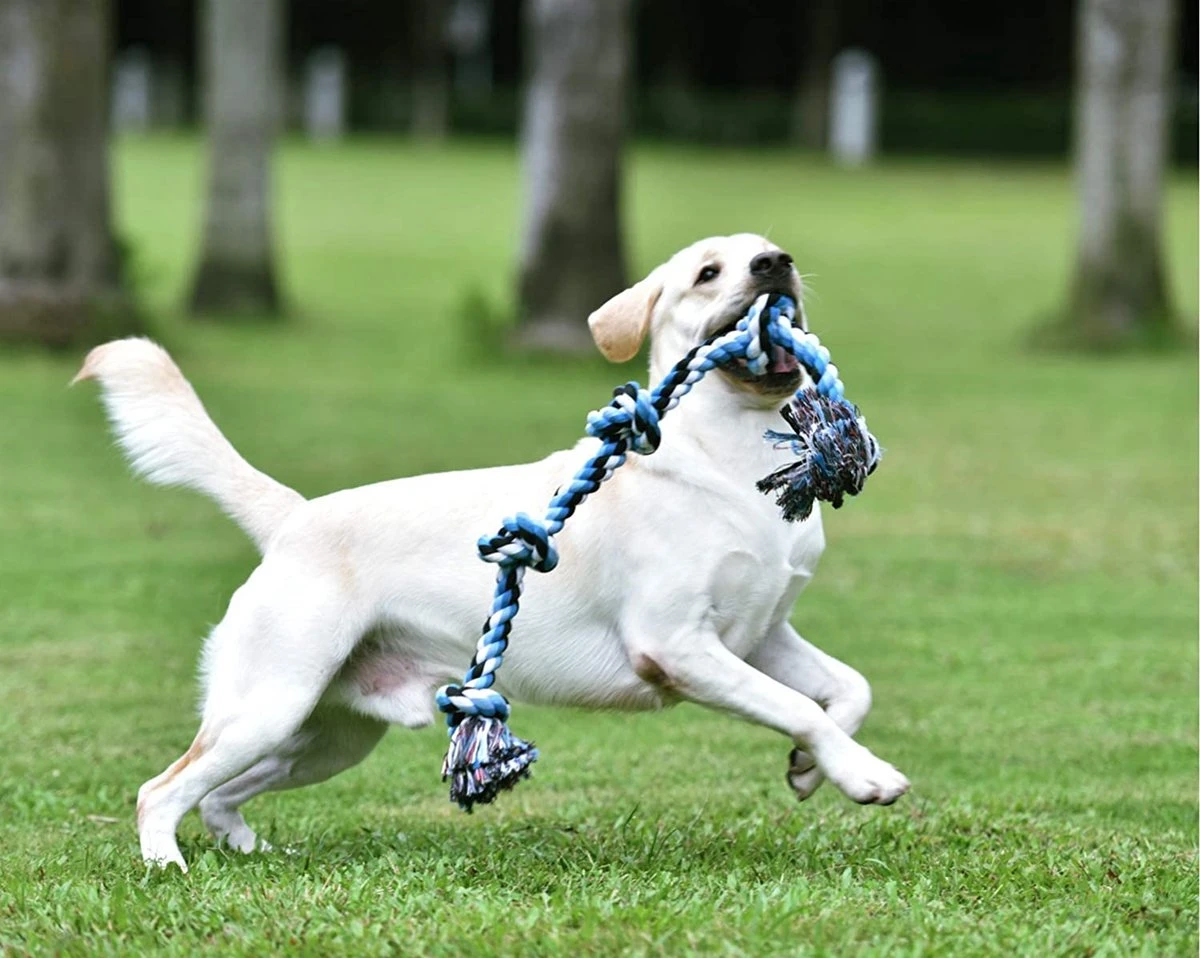 Viervoetjes - BigBoi - XXL - Honden Touw - 90cm - Honden Speelgoed - HondenSpeeltjes - Blauw/Wit/Zwart 3 Viervoetjes - BigBoi - XXL - Honden Touw - 90cm - Honden Speelgoed - HondenSpeeltjes - Blauw/Wit/Zwart - Afbeelding 3
