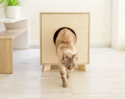 Catandwood Kattenhuis - Kattenbakcontainer - Kattenbak Ombouw - Hout -Huisdierbenodigdheden 1200x959 6