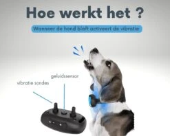 Anti-blafband - Anti Blaf Apparaat - Voor Kleine Honden En Grote Honden - Diervriendelijk - Opvoedingshalsband - Trainingshalsband - Inclusief Batterijen 10 Anti-blafband - Anti Blaf Apparaat - Voor Kleine Honden En Grote Honden - Diervriendelijk - Opvoedingshalsband - Trainingshalsband - Inclusief Batterijen -Huisdierbenodigdheden 1200x960 10